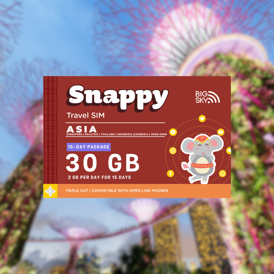 ASIA TRAVEL SIM (Snappy Travel SIM Powered by Big Sky Nation)
