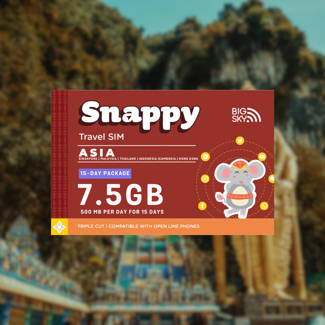 ASIA TRAVEL SIM (Snappy Travel SIM Powered by Big Sky Nation)