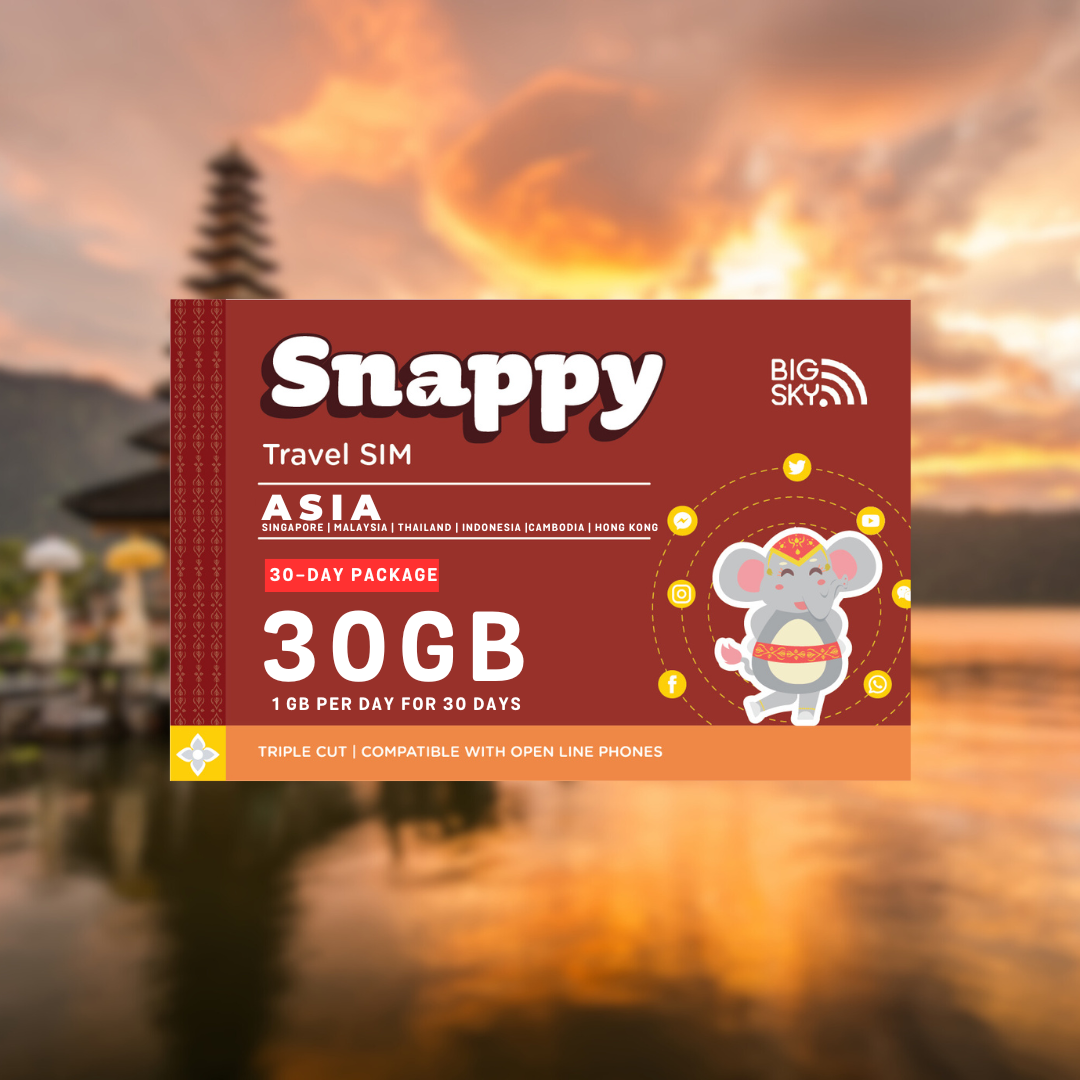 ASIA TRAVEL SIM (Snappy Travel SIM Powered by Big Sky Nation)