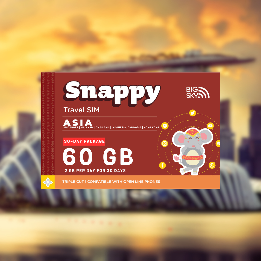 ASIA TRAVEL SIM (Snappy Travel SIM Powered by Big Sky Nation)
