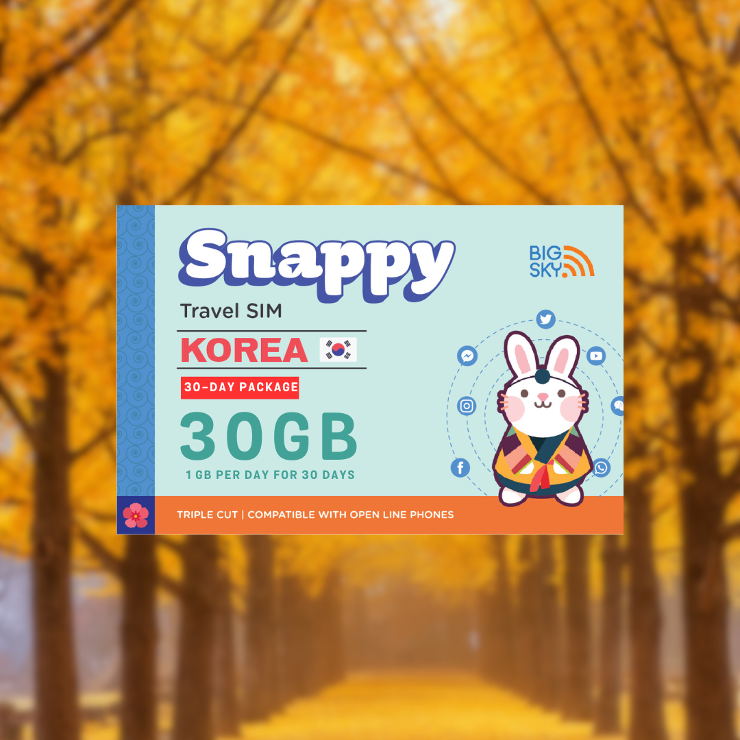 SOUTH KOREA TRAVEL SIM (Snappy Travel SIM Powered by Big Sky Nation)