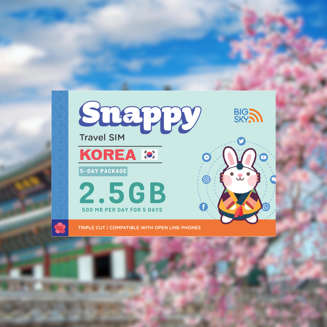 SOUTH KOREA TRAVEL SIM (Snappy Travel SIM Powered by Big Sky Nation)